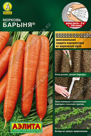 картинка Морковь Барыня  8м/лента/240шт/10 от магазина Визит