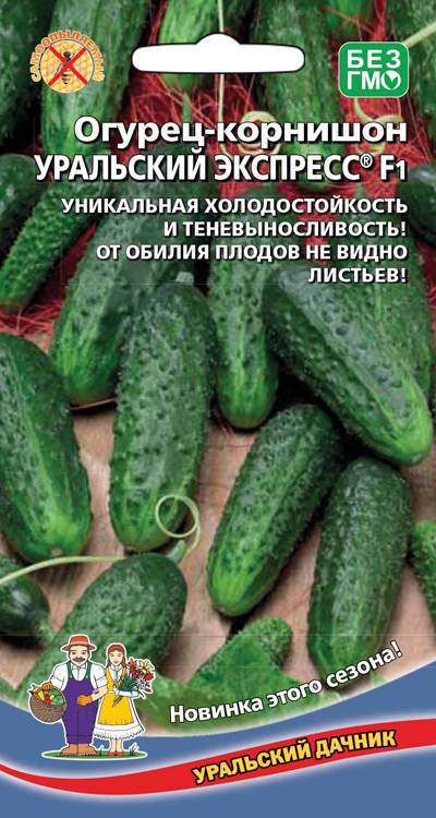 картинка Огурец Уральский Экспресс F1 10-20шт /10 от магазина Визит