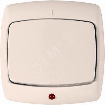 картинка РОНДО Выключатель одноклавишный скрытый с индикацией 250В 6   S16-066-BI от магазина Визит