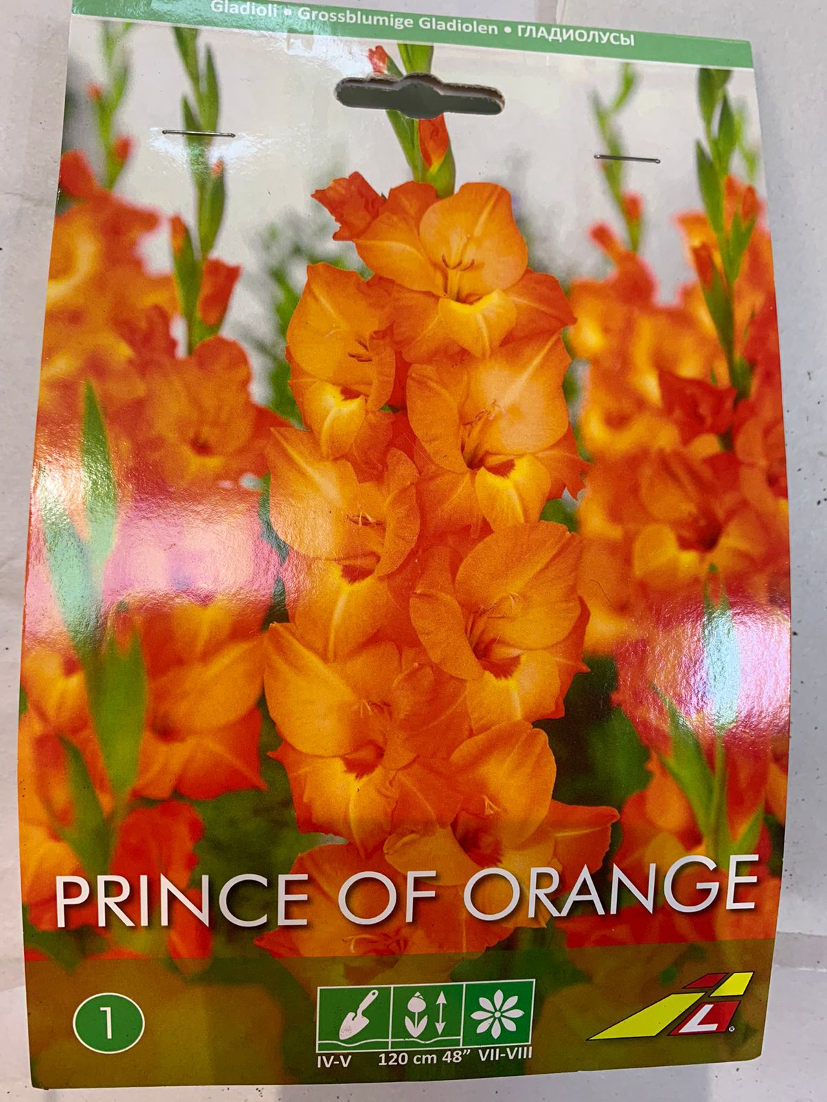 картинка Гладиолус Принц оф Оранж 5шт (А) от магазина Визит