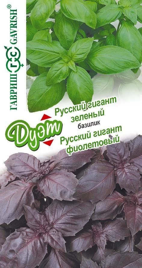 картинка Базилик Русский Гигант зеленый 0,1г+Русский гигант фиолетовый 0,1г сер от магазина Визит